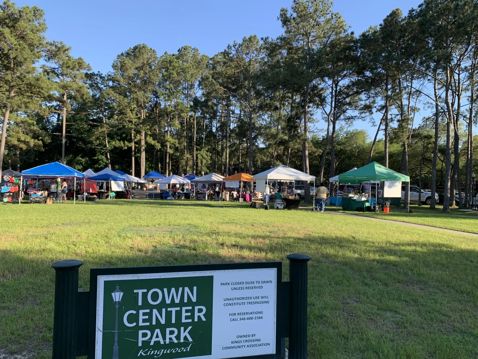 Tall pine trees and market tents around the lawn at Kingwood Town Center Park
